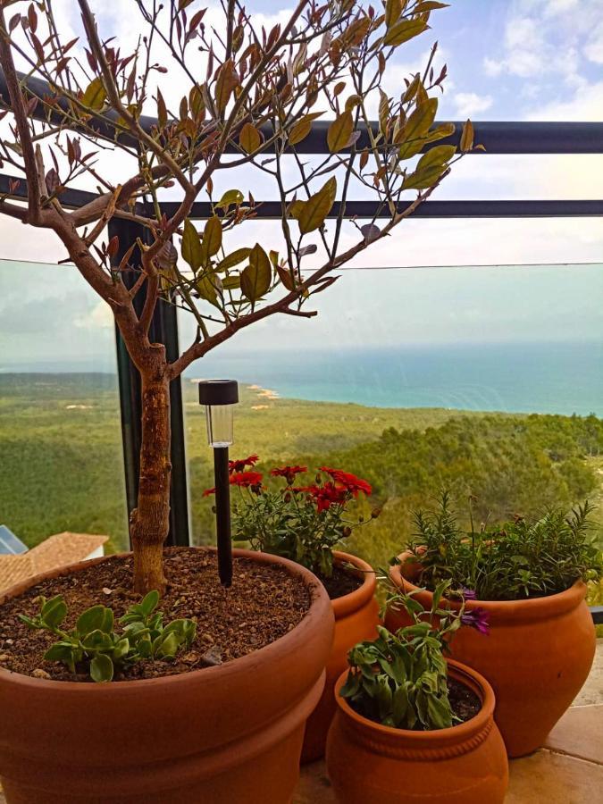 Alcossebre Precioso Atico En La Sierra De Irta 아파트 외부 사진
