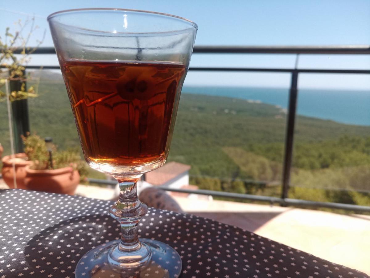 Alcossebre Precioso Atico En La Sierra De Irta 아파트 외부 사진